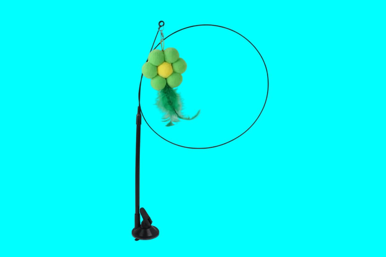 Cat Sucker Teaser Toy